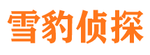 富民市侦探公司